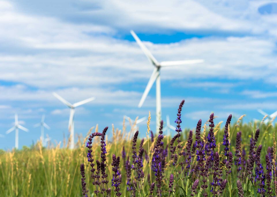 Green energy from wind 2024 10 18 06 15 00 utc